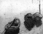 Dories