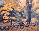 Paintings
